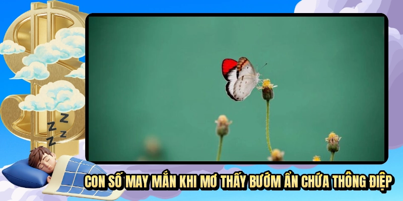 Con số may mắn khi mơ thấy bướm ẩn chứa thông điệp